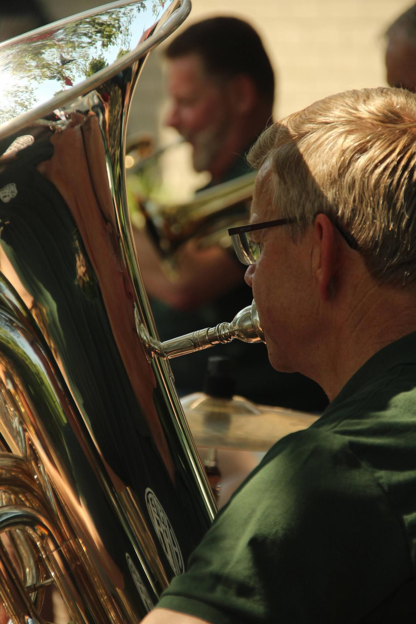 Alte Hasen flugelhorn in Hellendoorn